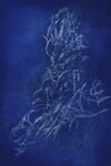 ZweigeGewirr 190217 3632 Blau