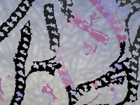 Musterkennung Eisblumen, 141217_1020880D, 60 x80 cm