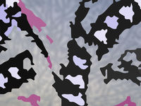Musterkennung Eisblumen, 141217_1020880E, 60 x80 cm