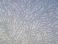 Musterkennung Eisblumen, 141217_1020880A, 60 x80 cm